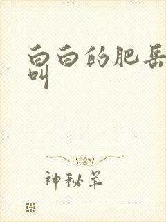 白白的肥岳嗷嗷叫