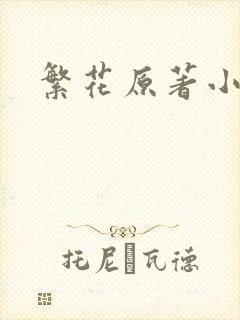 繁花原著小说