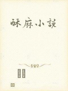 酥麻小说