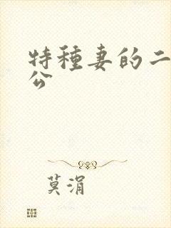 特种妻的二手老公