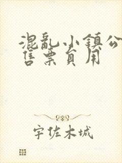 混乱小镇公交车售票员用