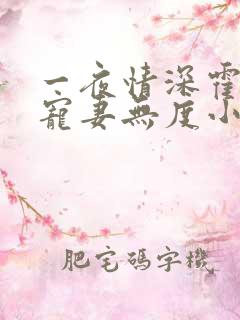 一夜情深霍先生宠妻无度小说免费阅读