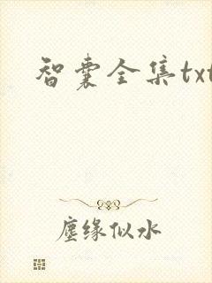 智囊全集txt