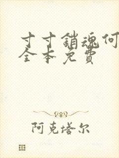 寸寸销魂何生祥全本免费