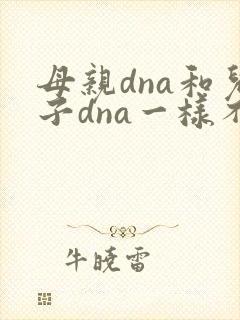 母亲dna和儿子dna一样不
