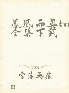 凤凰面具txt全集下载