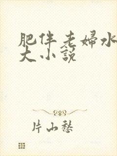 肥伴老妇水多乳大小说