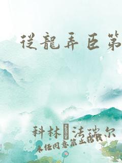 从龙弄臣第一次