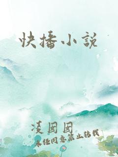 快播小说