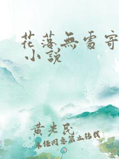 花落无处寄相思 小说