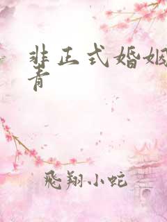 非正式婚姻雾里青