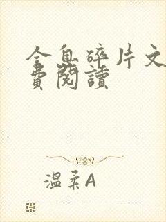 全息碎片文轩免费阅读