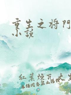 重生之将门毒后小说