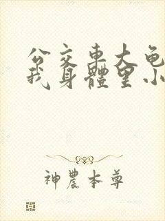 公交车大龟廷进我身体里小说内容