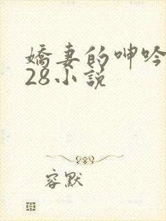 娇妻的呻吟1—28小说