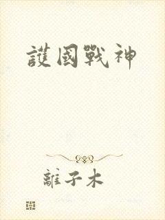 护国战神