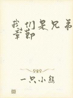 我们是兄弟最新章节