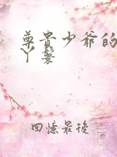 尊贵少爷的大牌丫鬟