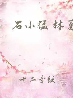 石小猛 林夏