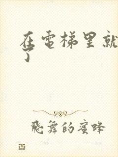 在电梯里就开始了