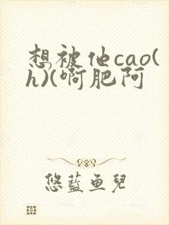 想被他cao(h)(啊肥阿