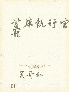 首席执行官的绝宠