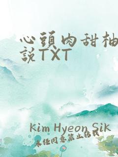 心头肉甜柚子小说TXT