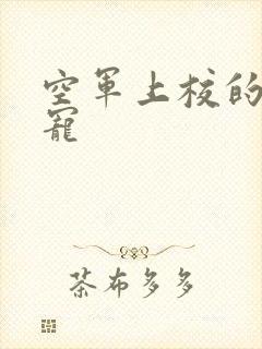 空军上校的邪魅宠