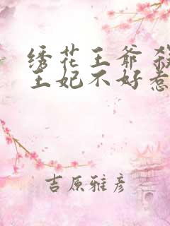 绣花王爷 杀手王妃不好惹