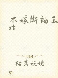 不嫁断袖王爷txt