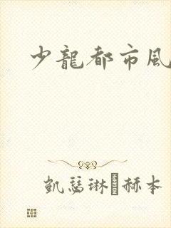 少龙都市风流行
