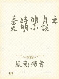 秦时明月之夜尽天明小说