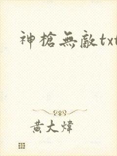 神枪无敌txt