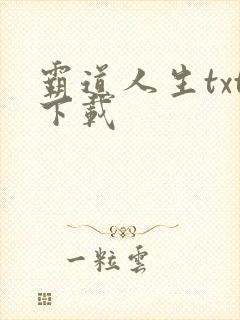霸道人生txt下载