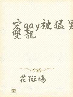 宏gay被猛男双龙