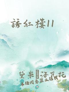诱红楼11