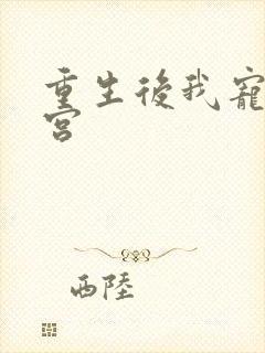 重生后我宠冠东宫