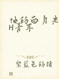 他的白月光HVH青耳