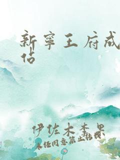 新宁王府成人网站