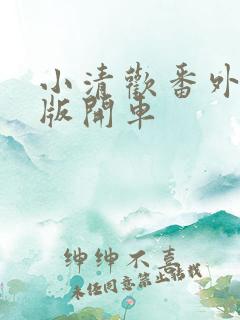 小清欢番外完整版开车