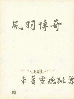 风羽传奇
