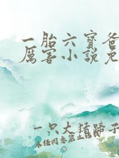 一胎六宝爸比好厉害小说免费阅读