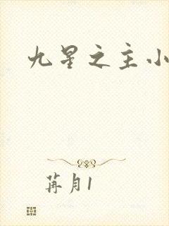 九星之主小说