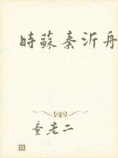 时苏秦沂舟小说