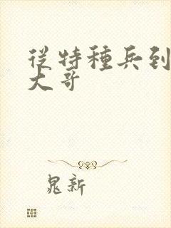 从特种兵到黑道大哥