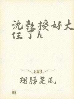 沈教授好大含不住了h