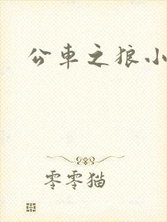 公车之狼小说