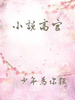 小说高官