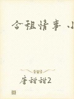 合租情事 小说