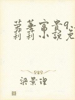 荣华富贵9小王莉莉小说免费阅读